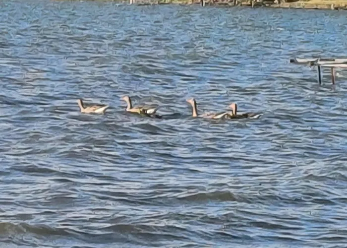 Gosciniec Twoje Mazury Nad Jeziorem Sniardwy Tuz Obok Plazy