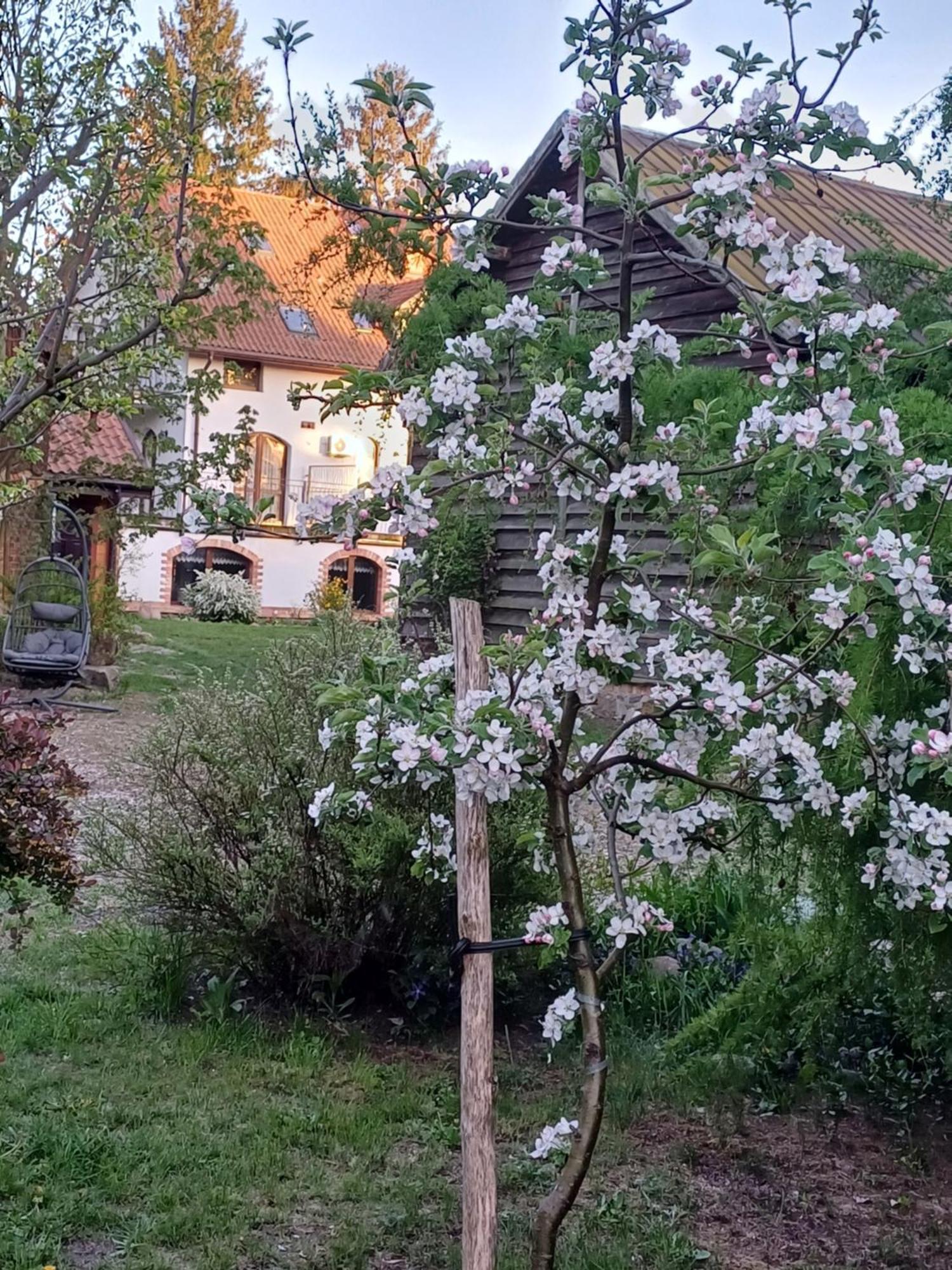 Gosciniec Twoje Mazury Nad Jeziorem Sniardwy Tuz Obok Plazy Bed & Breakfast *